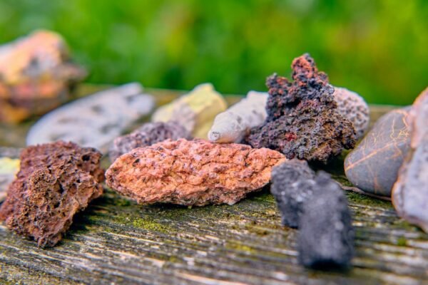 Rock and mineral samples representing the scientific disciplines covered by the UPSC Combined Geo-Scientist Examination