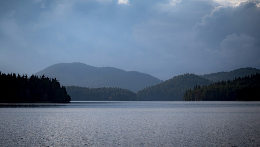 Large reservoir surrounded by forest, illustrating water storage for hydropower